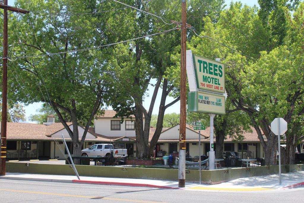 Trees Motel Bishop Exterior photo